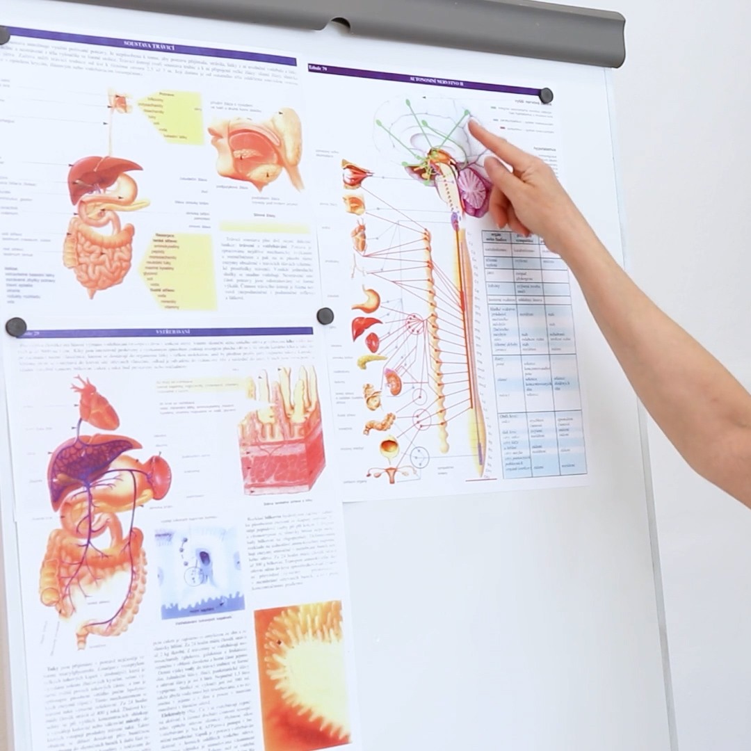 Weight Loss Course - English - Obrázek 4